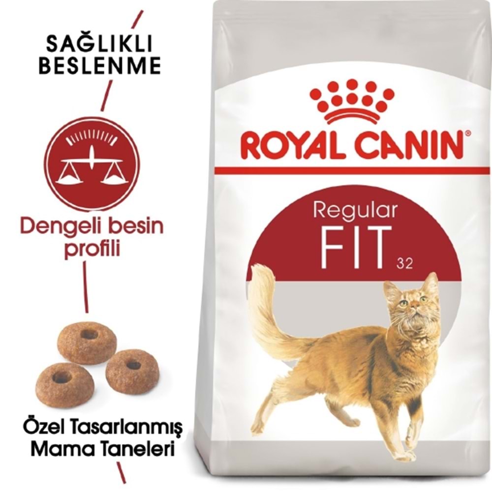 Royal Canin Yetişkin Kedi Fıt32 4Kg