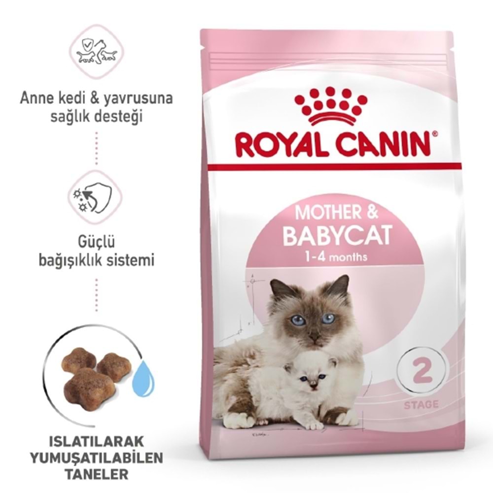 Fhn Baby Cat 4Kg
