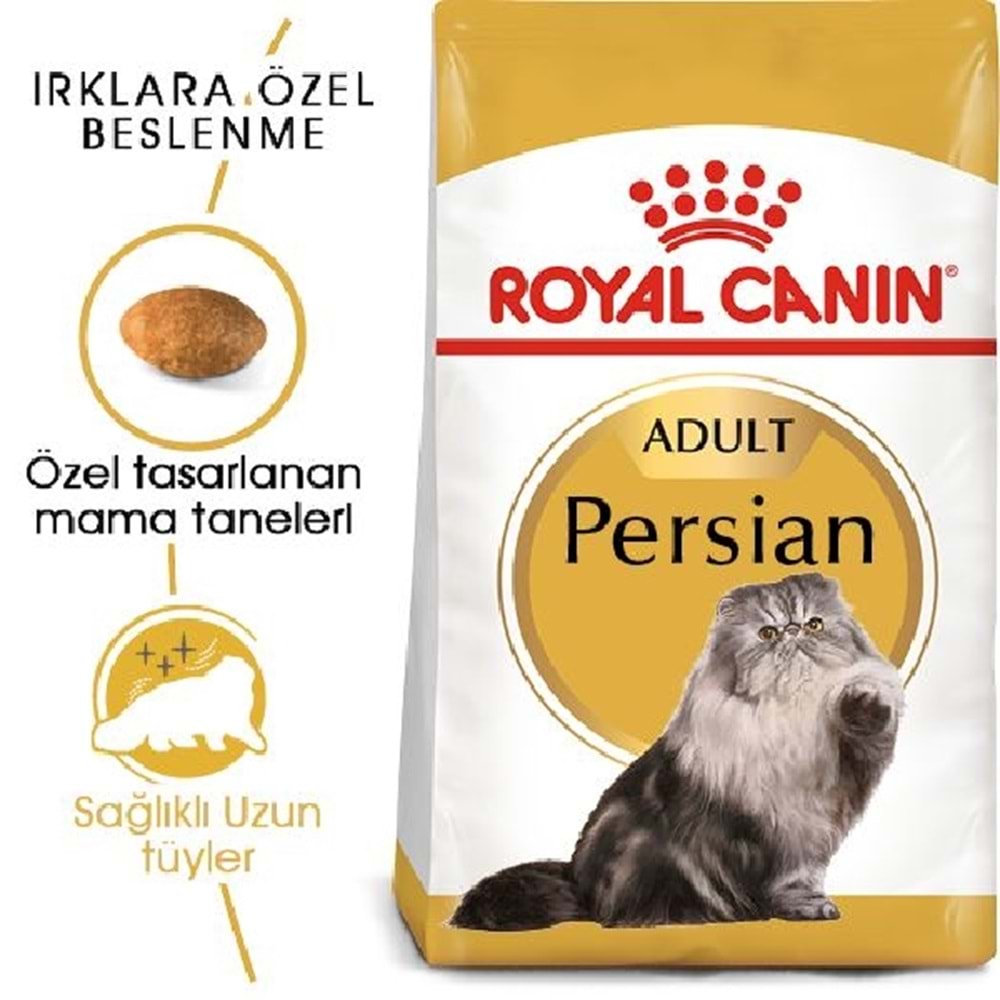 Royal Canin Persian Yetişkin 2Kg