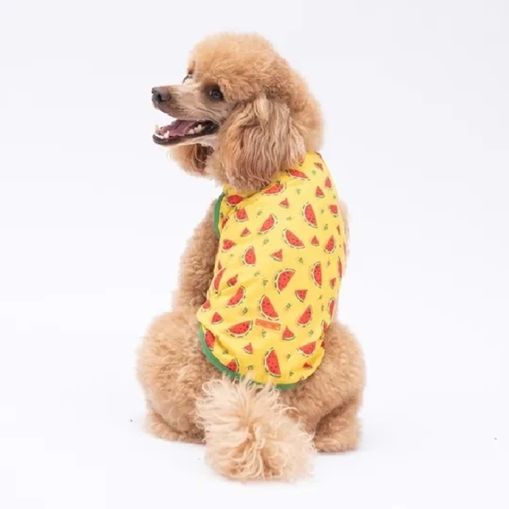 Watermelon Tişört Xl