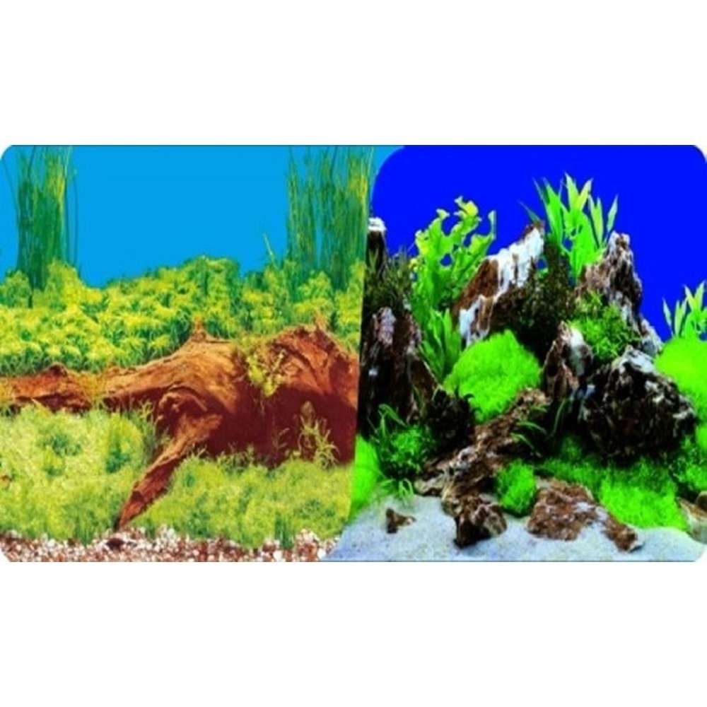 PLASTİK POSTER BİTKİ KAYA 50cm-1mt