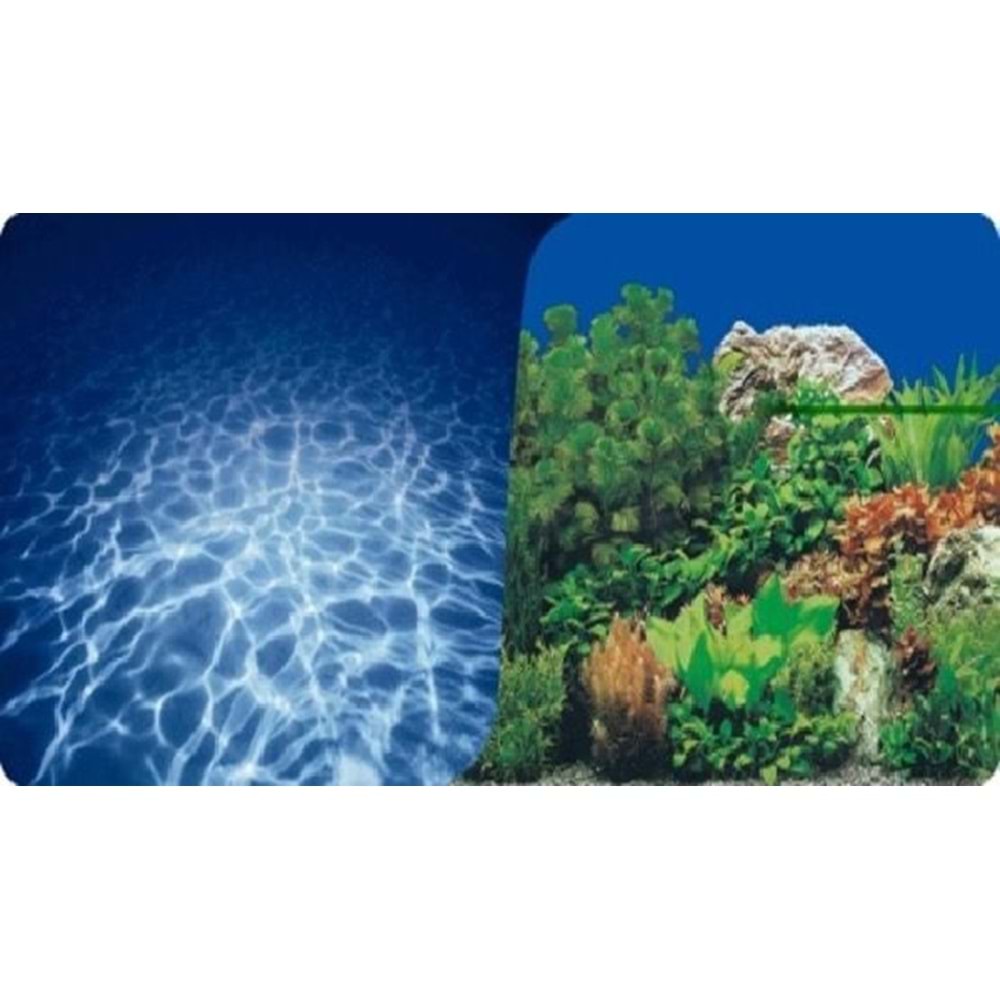 PLASTİK POSTER DENİZ&BİTKİ 50cm-1mt