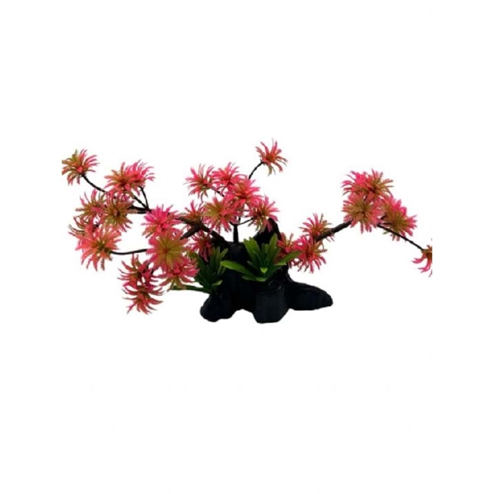 4000077 Bonzai Bitki Kırmızı