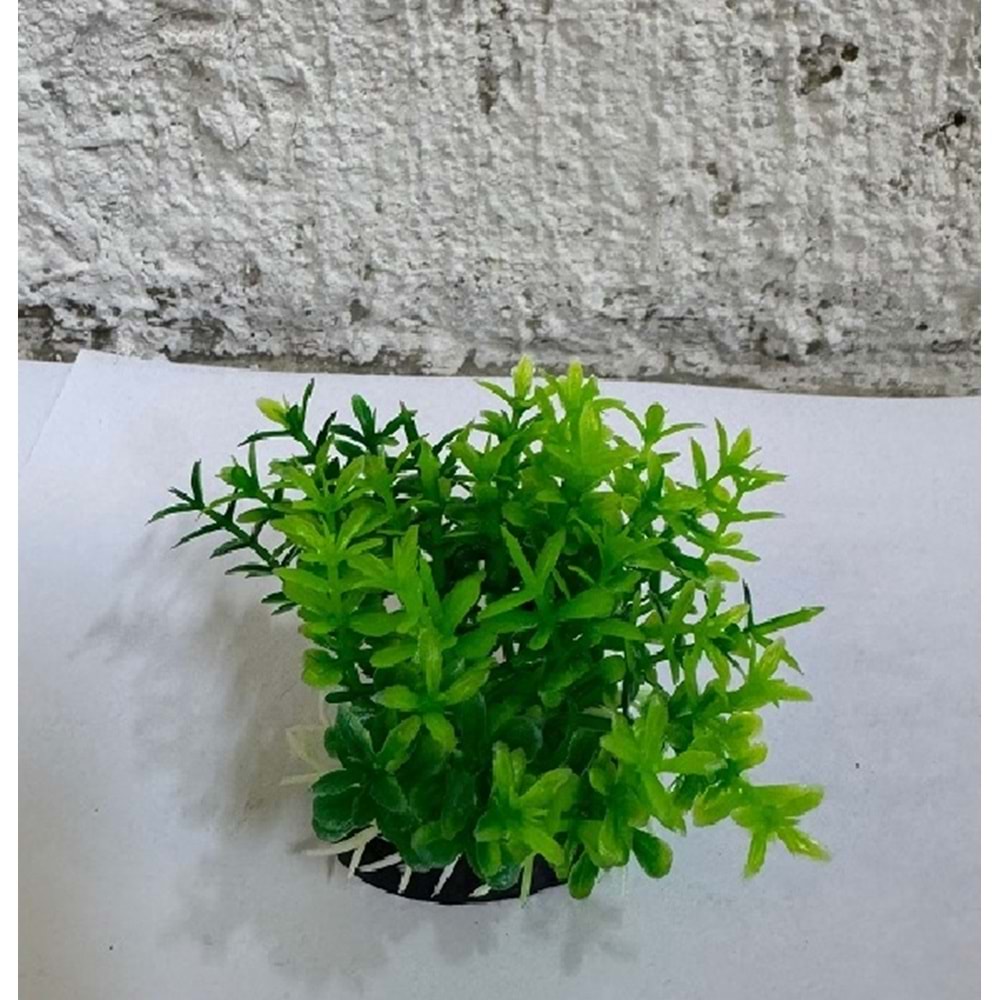 4000093 Plastik Bitki Koyu Yeşil