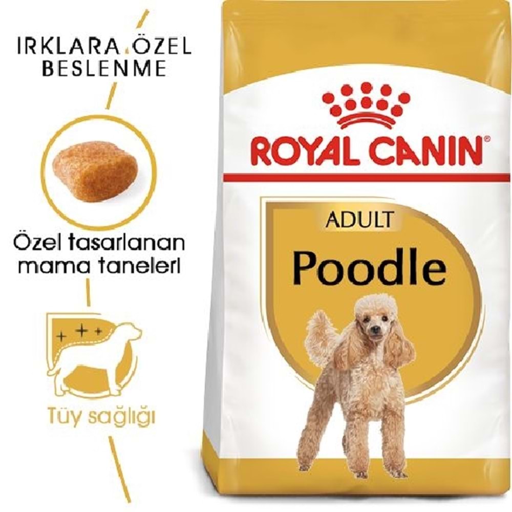 Royal Canin Poodle Adult 3K