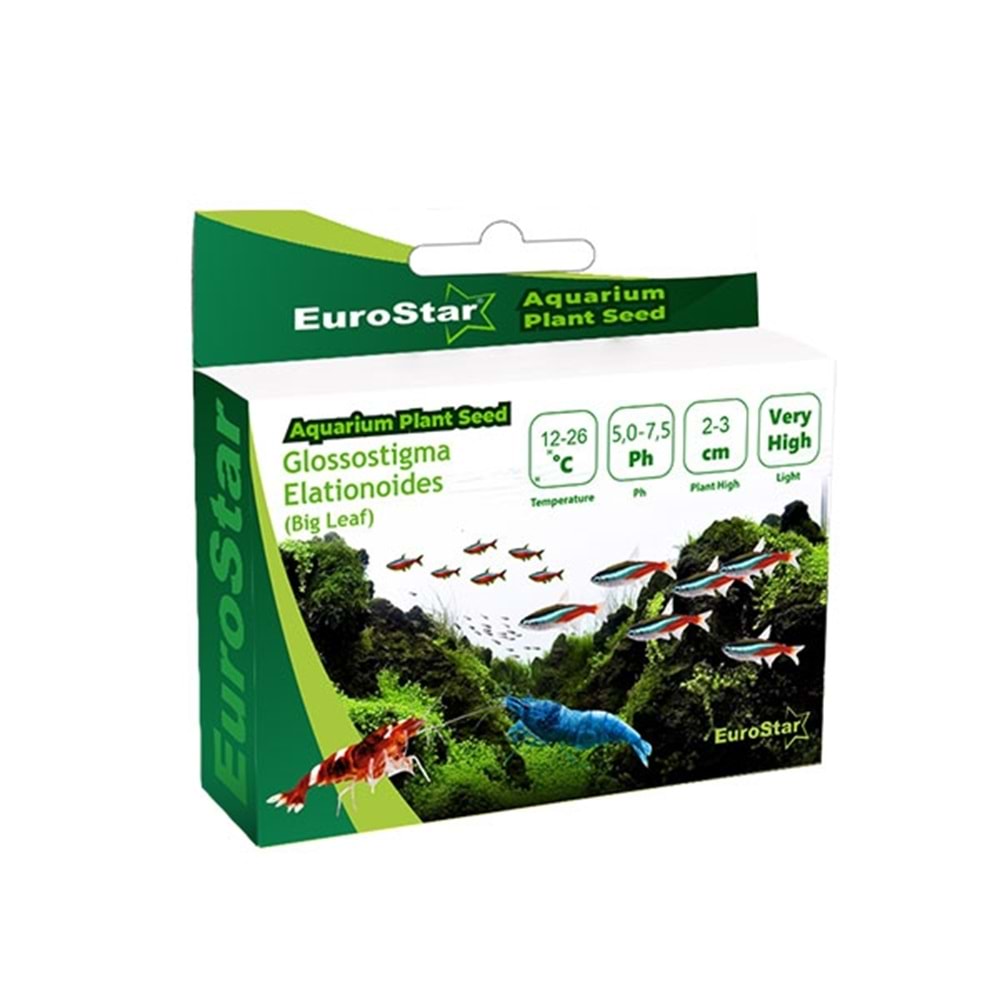 EuroStar Bitki Tohum Small Leaf Base Blant