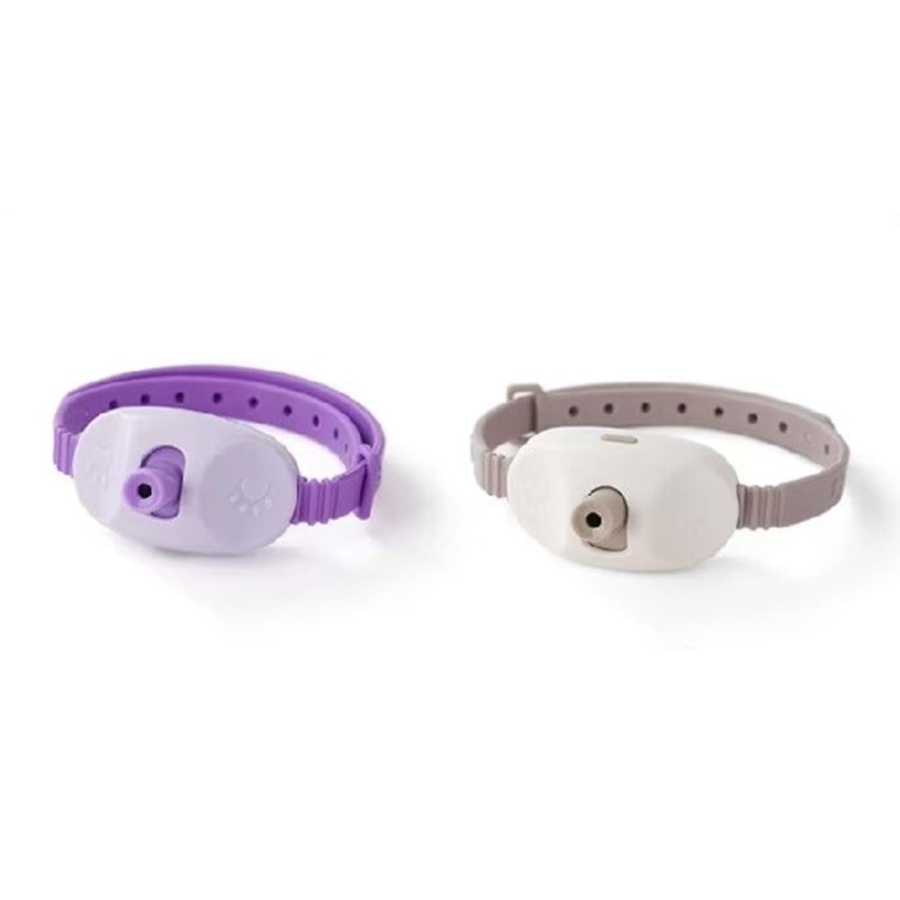 NUNBELL LAZER KEDİ TASMASI OYUNCAK