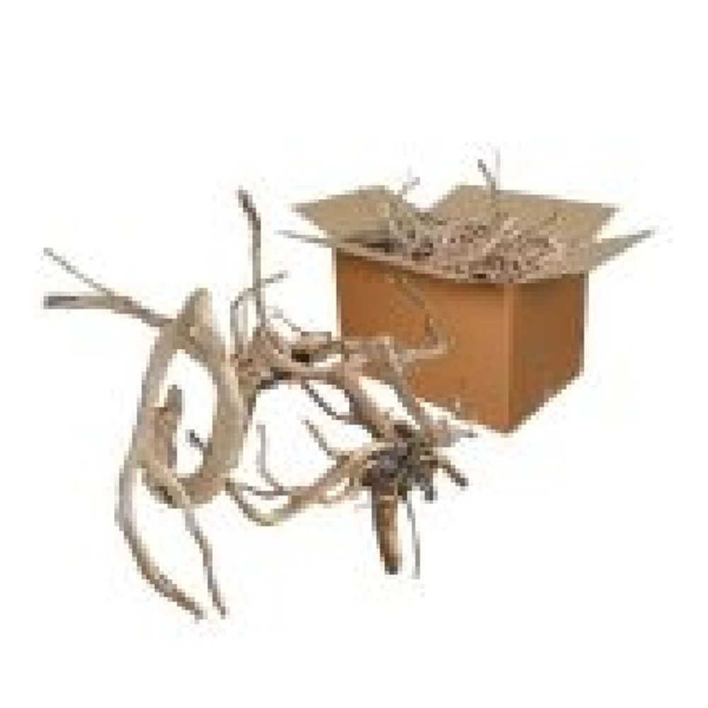 Çöl Kütüğü İnce Dal 1 Kg