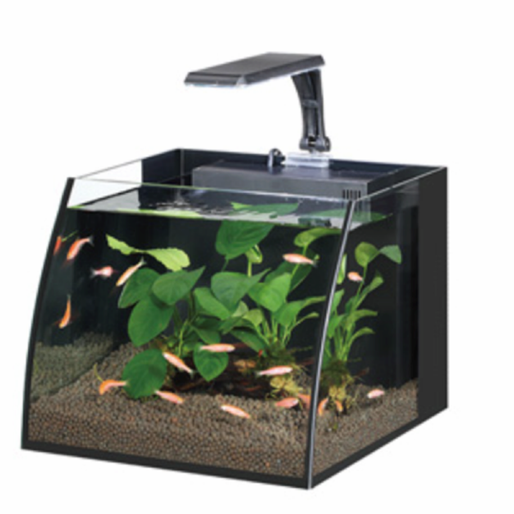 HAQOS BELLY BOX 30 AYDINLATMALI NANO AKVARYUM 16L BLACK