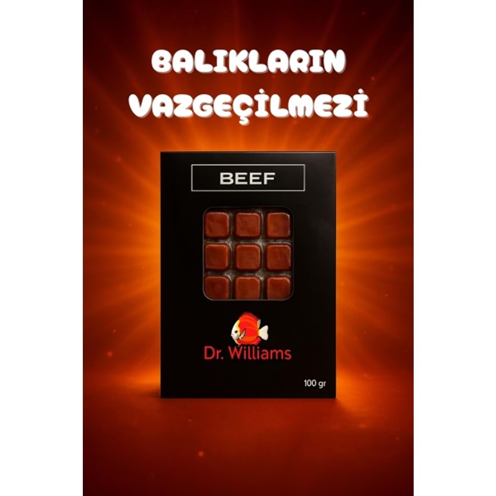 DONDURULMUŞ BEEF 100 GR