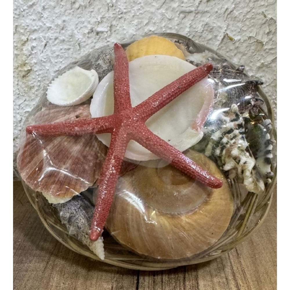 Akvaryum Dekor Büyük Sepet Deniz kabukları