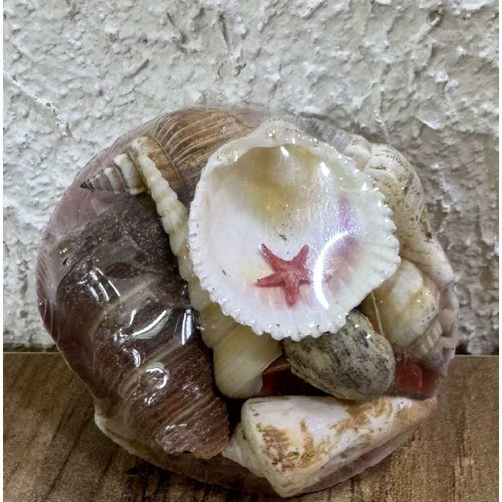 Akvaryum Dekor Küçük Sepet Deniz kabukları