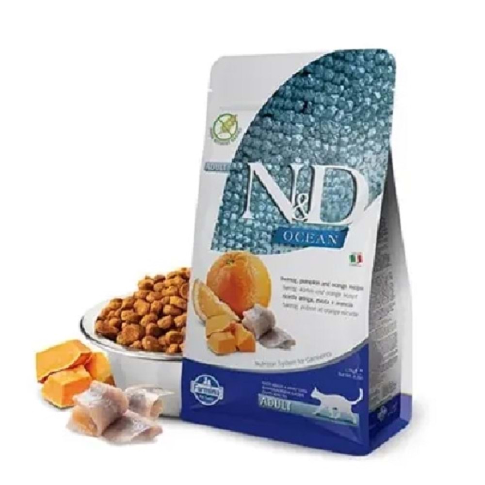 Ocean Bk Ringa Portakal Adult 1,5 Kg