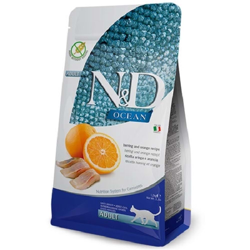 OCEAN PR RİNGA PORTAKAL ADULT 5KG