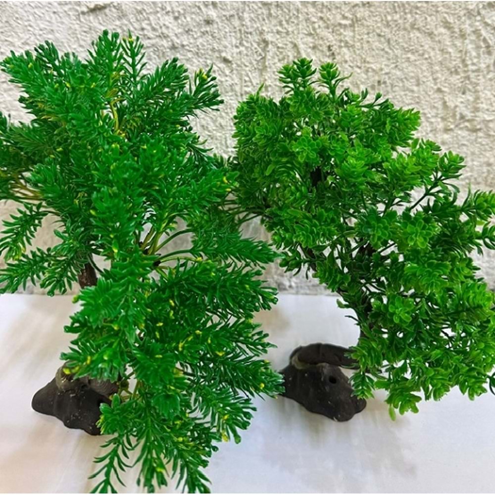 Akvaryum Süs Bitki No:1