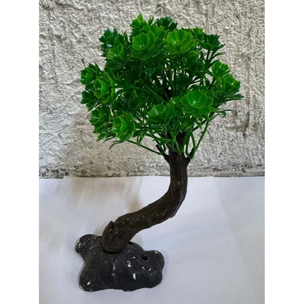 Akvaryum Süs Bitki No:2