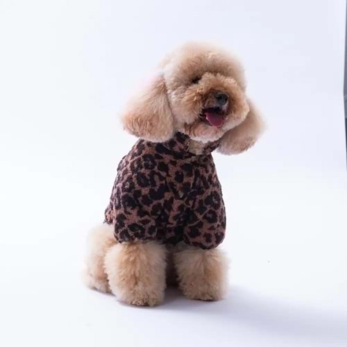 Sri Lanka Jacket 2XL