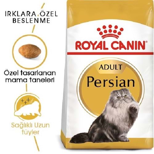 Royal Canin Persian Yetişkin 2Kg