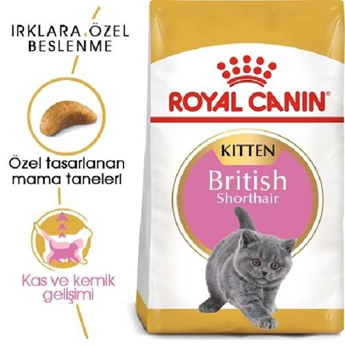 Royal Canin British Shorth Hair Kitten 2Kg