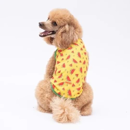 Watermelon Tişört L