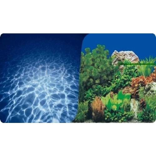 PLASTİK POSTER DENİZ&BİTKİ 50cm-1mt