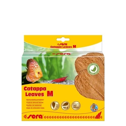 Sera Catappa Yaprağı M 18 Cm (10 Adet)