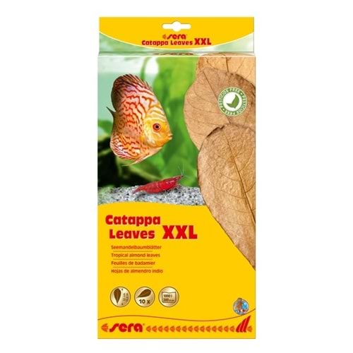 Sera Catappa Yaprağı Xxl 32 Cm (10 Adet)