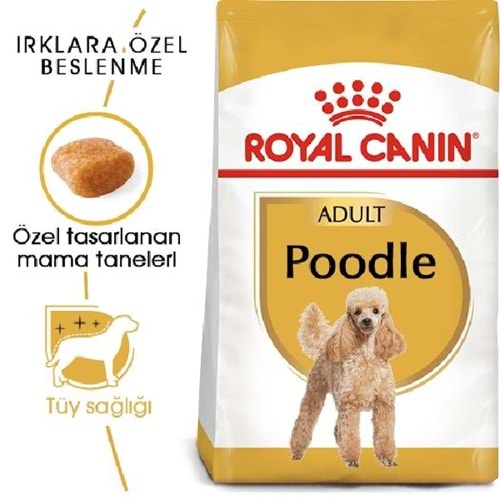 Royal Canin Poodle Adult 3K