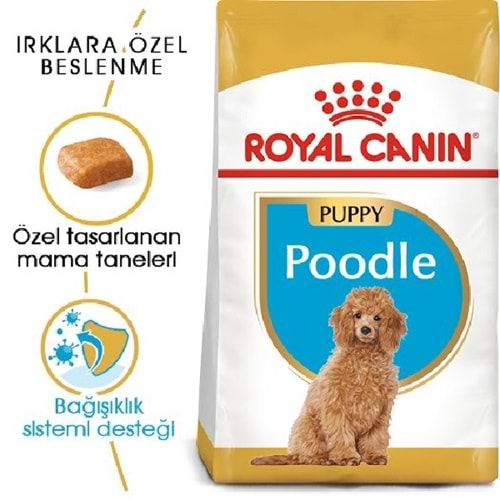Royal Canin Poodle Junıor 3K