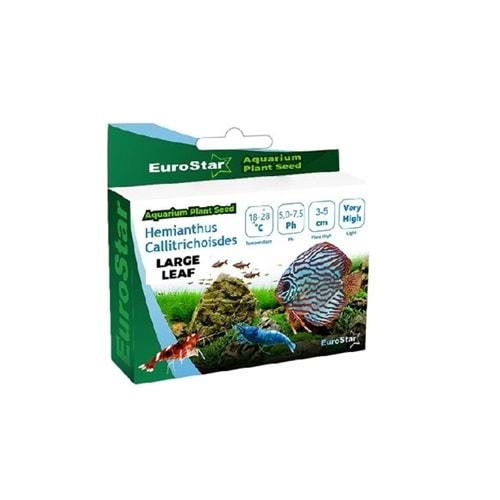 Eurostar Large Leaf Base Blant