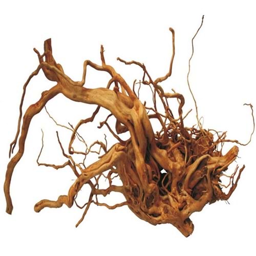 Eurostar Çöl Kütüğü 1 Kg Fiyatı