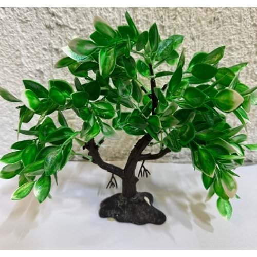 Akvaryum Süs Bitki No:3