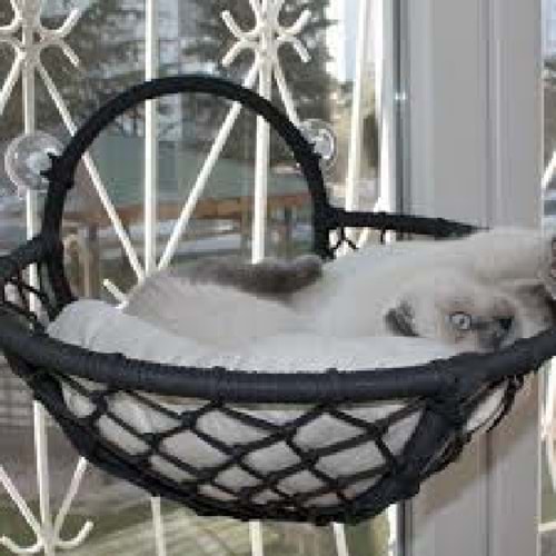 Lüxperilay Gezegen Cam Yatak