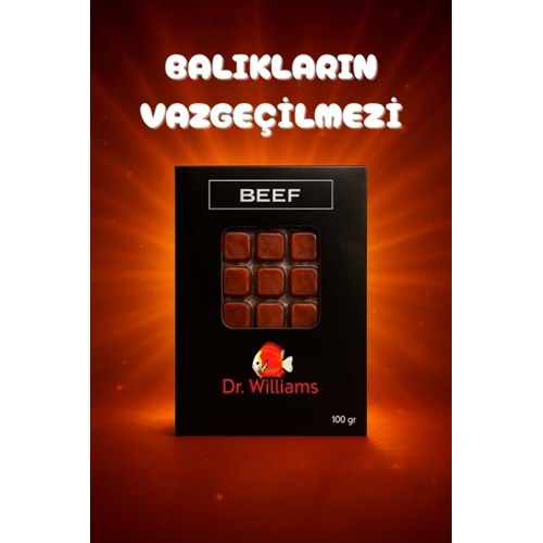 DONDURULMUŞ BEEF 100 GR