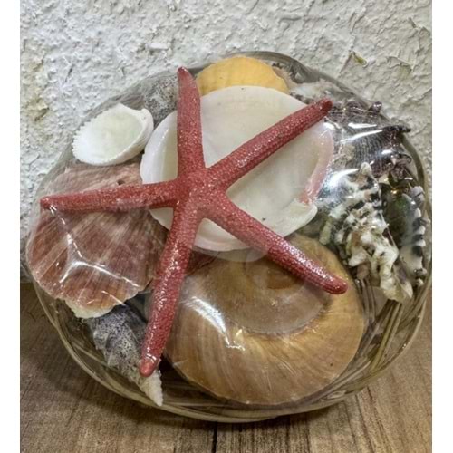 Akvaryum Dekor Büyük Sepet Deniz kabukları