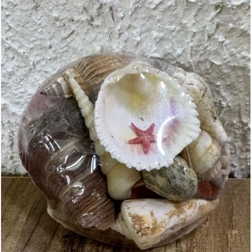 Akvaryum Dekor Küçük Sepet Deniz kabukları