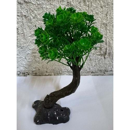 Akvaryum Süs Bitki No:2