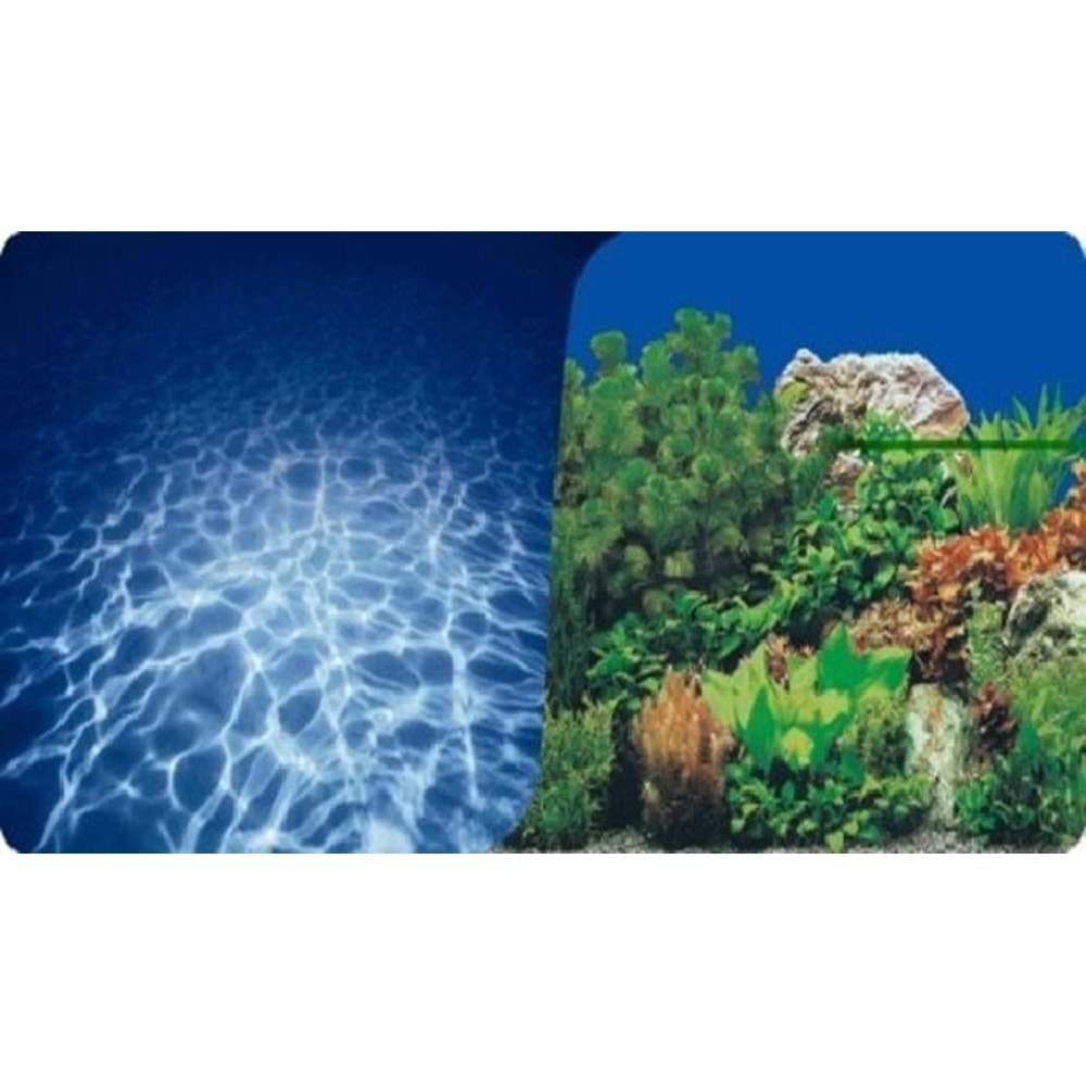 PLASTİK POSTER DENİZ&BİTKİ 40cm-1mt