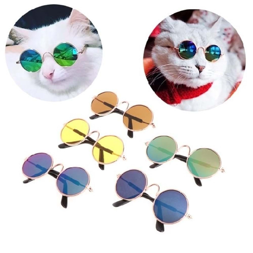 Kedi Köpek Gözlük
